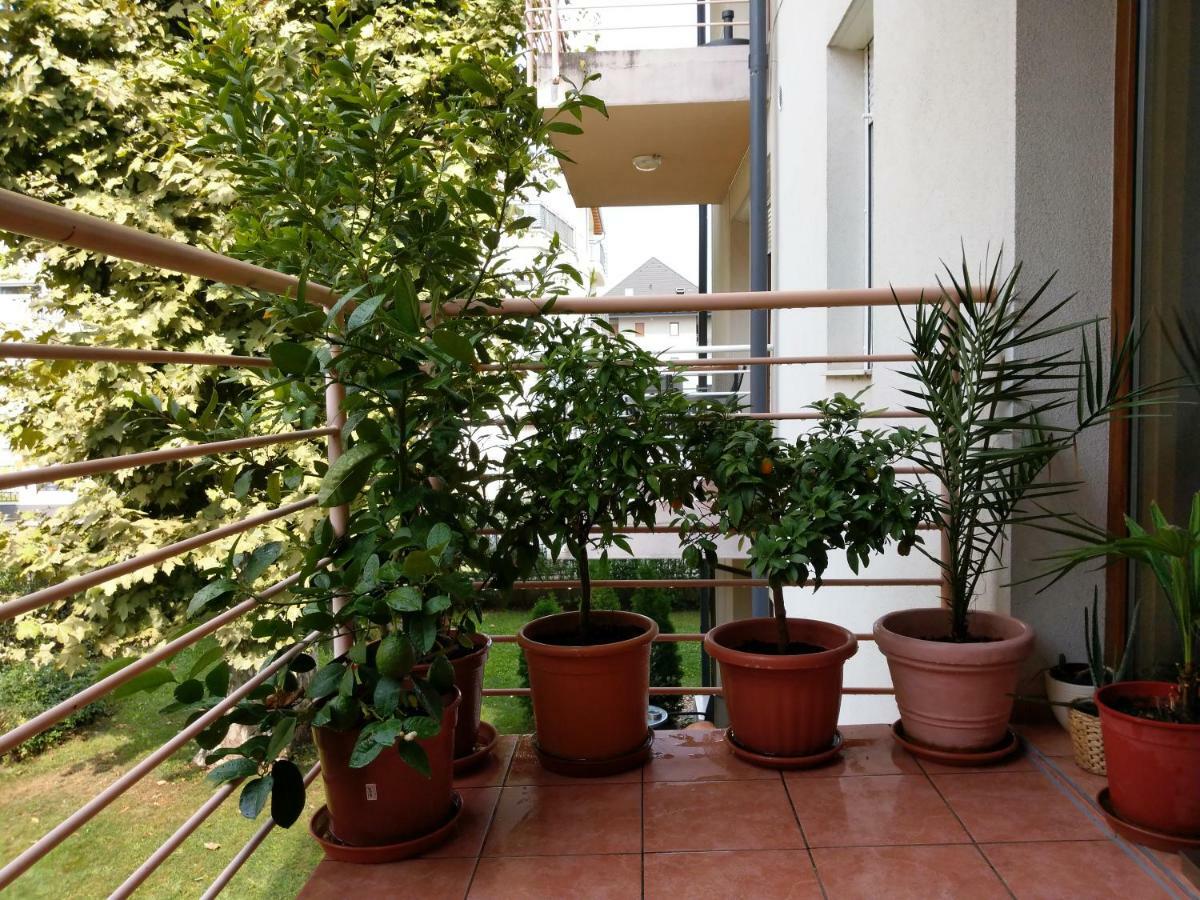 Mandarin Wellness Apartman Siófok Zewnętrze zdjęcie